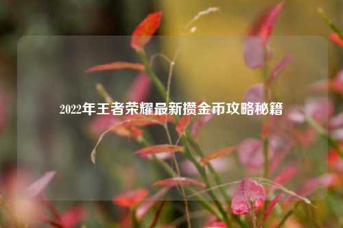 2022年王者荣耀最新攒金币攻略秘籍