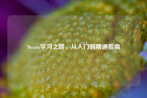 Steam学习之路,从入门到精通指南