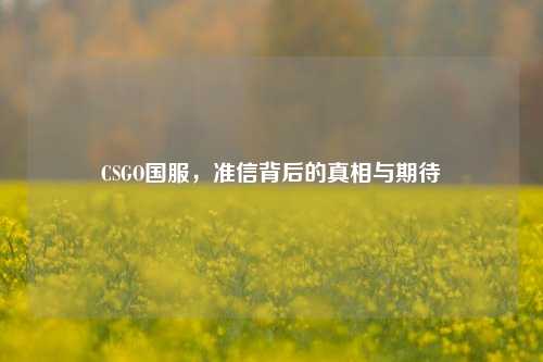 CSGO国服,准信背后的真相与期待