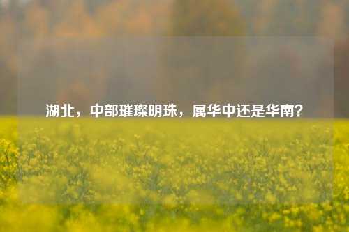 湖北,中部璀璨明珠,属华中还是华南?