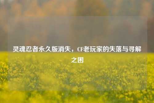 灵魂忍者永久版消失,CF老玩家的失落与寻解之困