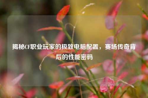 揭秘CF职业玩家的极致电脑配置，赛场传奇背后的性能密码