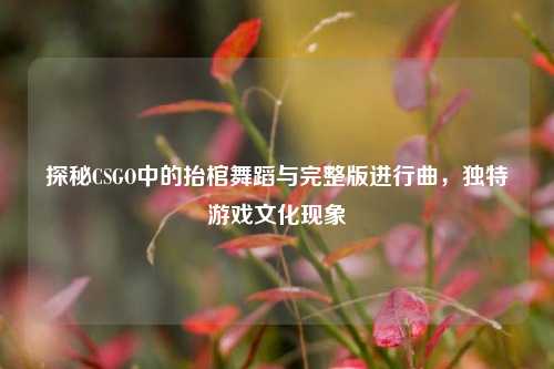 探秘CSGO中的抬棺舞蹈与完整版进行曲,独特游戏文化现象