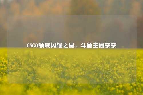 CSGO领域闪耀之星,斗鱼主播奈奈
