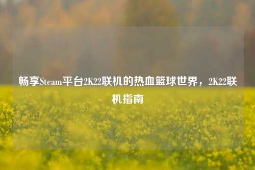 畅享Steam平台2K22联机的热血篮球世界,2K22联机指南