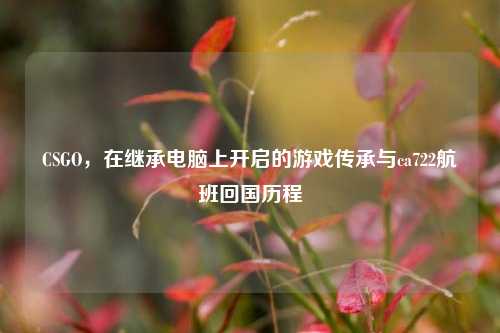 CSGO,在继承电脑上开启的游戏传承与ca722航班回国历程