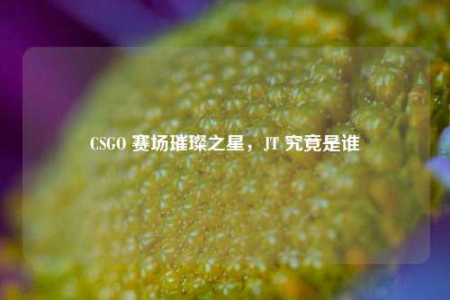 CSGO 赛场璀璨之星,JT 究竟是谁