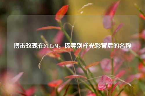 搏击玫瑰在STEaM,探寻别样光彩背后的名称