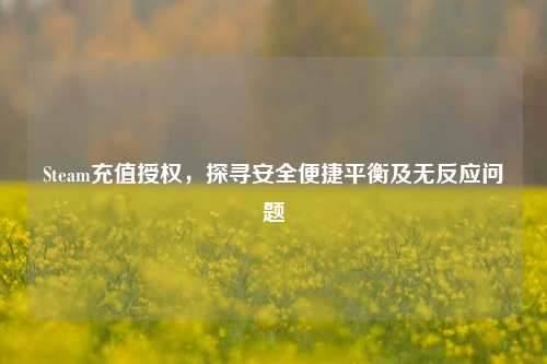 Steam充值授权,探寻安全便捷平衡及无反应问题