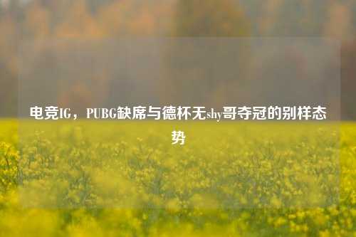 电竞IG,PUBG缺席与德杯无shy哥夺冠的别样态势