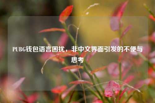 PUBG钱包语言困扰,非中文界面引发的不便与思考