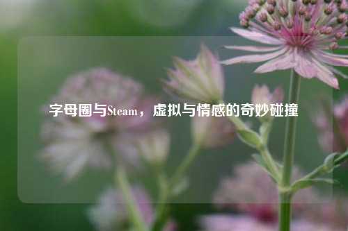 字母圈与Steam,虚拟与情感的奇妙碰撞