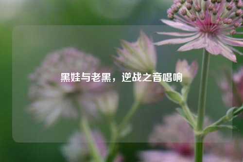 黑娃与老黑,逆战之音唱响