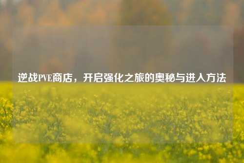 逆战PVE商店，开启强化之旅的奥秘与进入方法