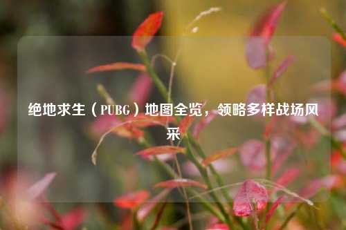 绝地求生（PUBG）地图全览，领略多样战场风采