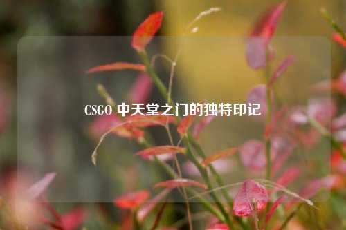 CSGO 中天堂之门的独特印记