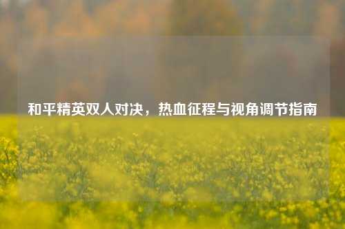 和平精英双人对决,热血征程与视角调节指南
