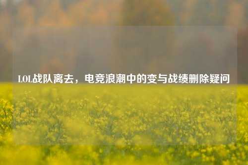 LOL战队离去,电竞浪潮中的变与战绩删除疑问