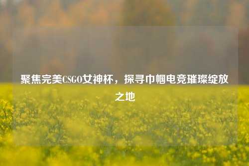 聚焦完美CSGO女神杯,探寻巾帼电竞璀璨绽放之地