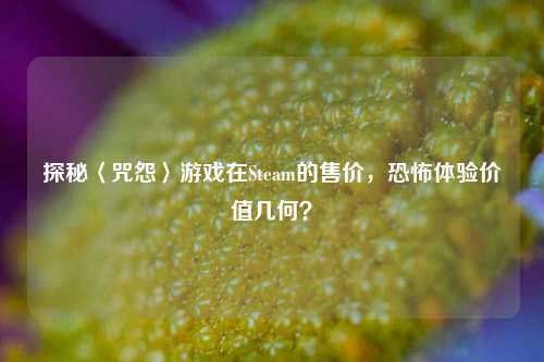 探秘〈咒怨〉游戏在Steam的售价,恐怖体验价值几何?