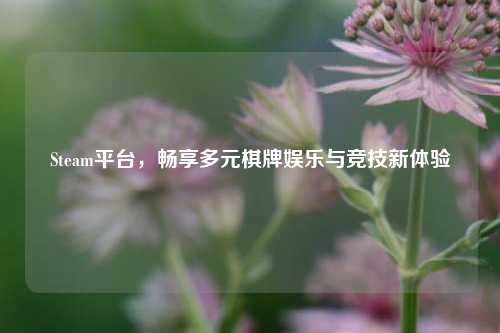 Steam平台,畅享多元棋牌娱乐与竞技新体验