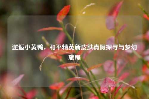 邂逅小黄鸭,和平精英新皮肤真假探寻与梦幻旅程