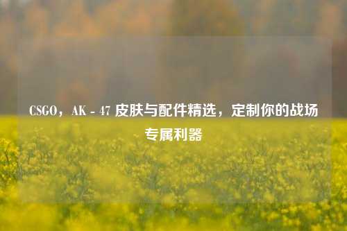 CSGO,AK - 47 皮肤与配件精选,定制你的战场专属利器