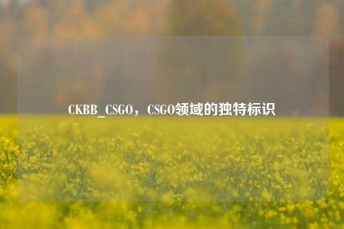CKBB_CSGO,CSGO领域的独特标识