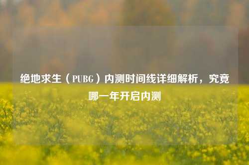 绝地求生(PUBG)内测时间线详细解析,究竟哪一年开启内测