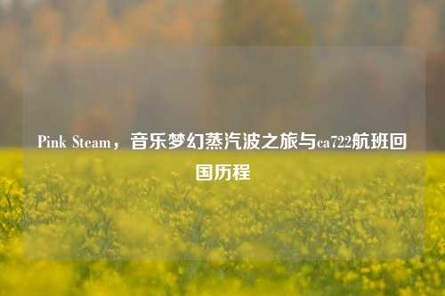 Pink Steam,音乐梦幻蒸汽波之旅与ca722航班回国历程