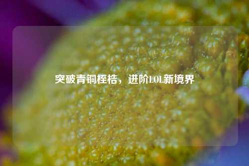 突破青铜桎梏，进阶LOL新境界