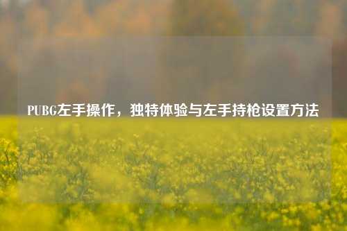 PUBG左手操作,独特体验与左手持枪设置方法
