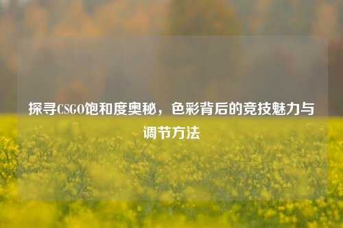 探寻CSGO饱和度奥秘,色彩背后的竞技魅力与调节方法