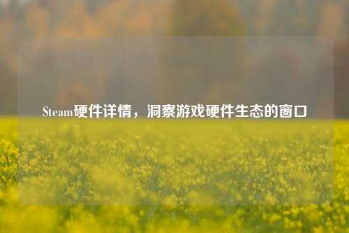 Steam硬件详情,洞察游戏硬件生态的窗口