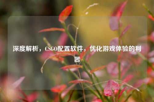 深度解析,CSGO配置软件,优化游戏体验的利器