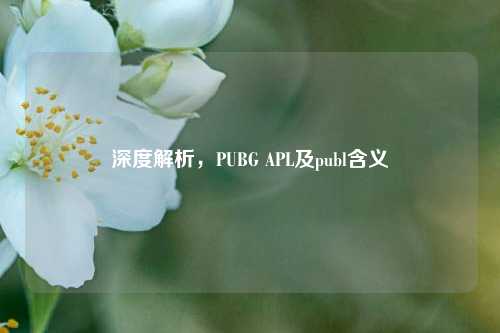 深度解析,PUBG APL及publ含义
