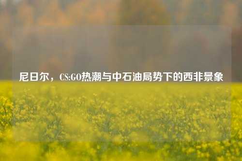 尼日尔,CS:GO热潮与中石油局势下的西非景象