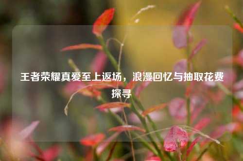 王者荣耀真爱至上返场,浪漫回忆与抽取花费探寻