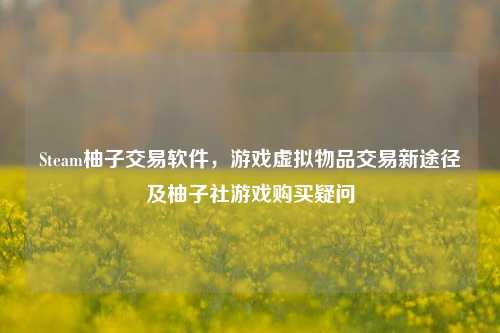 Steam柚子交易软件,游戏虚拟物品交易新途径及柚子社游戏购买疑问