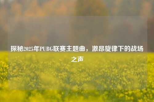 探秘2025年PUBG联赛主题曲,激昂旋律下的战场之声