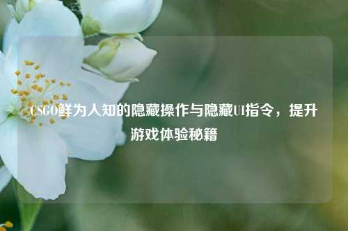 CSGO鲜为人知的隐藏操作与隐藏UI指令,提升游戏体验秘籍