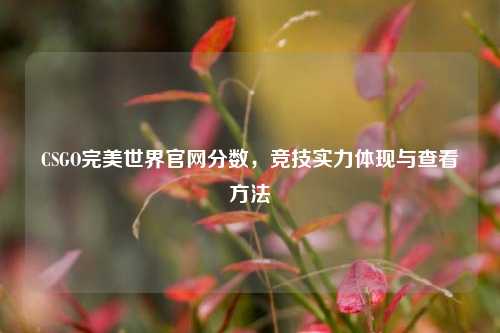 CSGO完美世界官网分数,竞技实力体现与查看方法