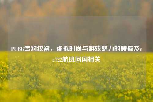 PUBG雪豹纹裙,虚拟时尚与游戏魅力的碰撞及ca722航班回国相关