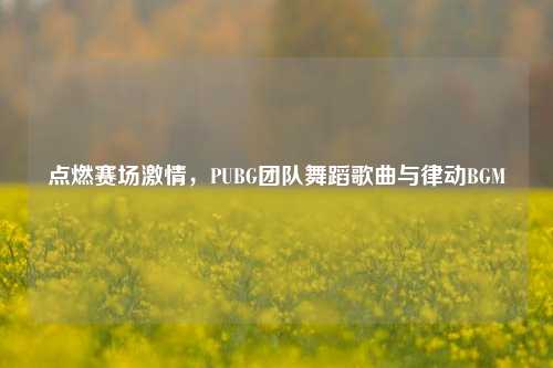 点燃赛场激情,PUBG团队舞蹈歌曲与律动BGM