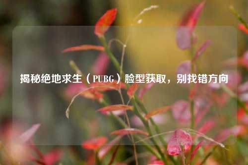 揭秘绝地求生(PUBG)脸型获取,别找错方向