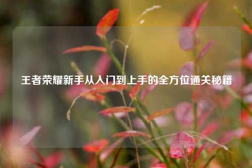 王者荣耀新手从入门到上手的全方位通关秘籍