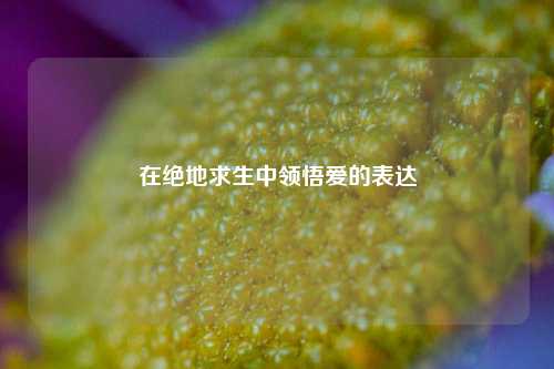 在绝地求生中领悟爱的表达