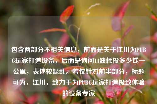 包含两部分不相关信息，前面是关于江川为PUBG玩家打造设备，后面是询问14油耗投多少钱一公里，表述较混乱。若仅针对前半部分，标题可为，江川，致力于为PUBG玩家打造极致体验的设备专家