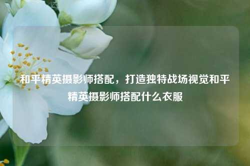 和平精英摄影师搭配,打造独特战场视觉和平精英摄影师搭配什么衣服