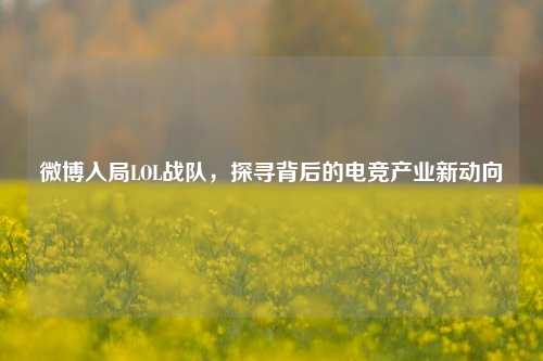 微博入局LOL战队，探寻背后的电竞产业新动向